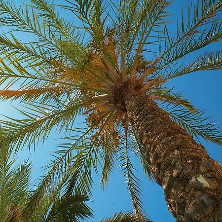 Kallitsakis Beach Platanias Exterior photo